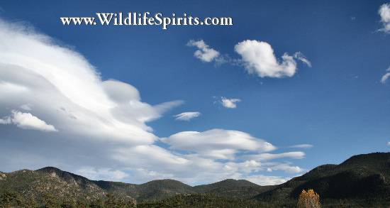 Click Picture to send as an  E-PostCard 58k 550x293